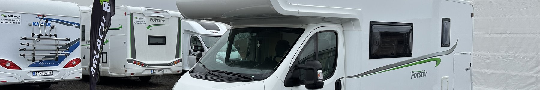 2026-02-11 16.20.42.jpg